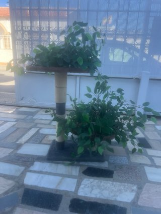 Rascador mediano para gatos con plantas