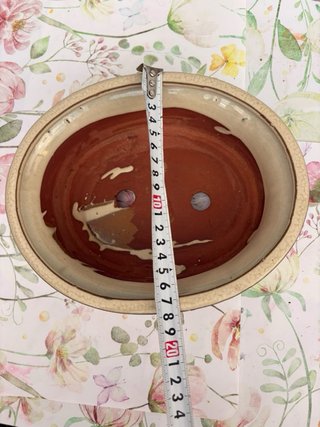 Maceta para Bonsái Color Crema