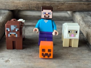 LEGO Minecraft 21114 Steve vaca oveja