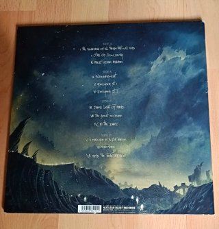 DOBLE VINILO IN FLAMES-FOREGONE