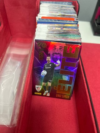 Lote de Cartas Panini (jose)