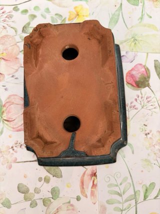 Maceta para Bonsái Azul Oscuro