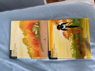 Libros edelvibes para aprender a leer