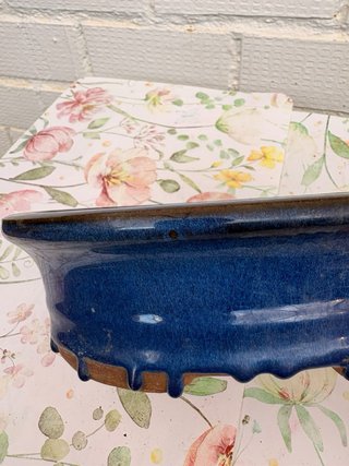 Maceta para Bonsái Azul