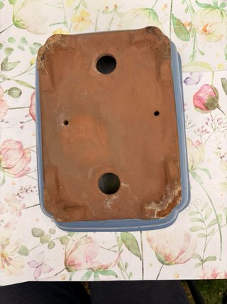 Maceta para Bonsái Azul
