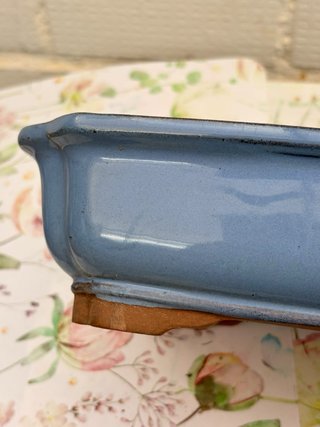 Maceta para Bonsái Azul