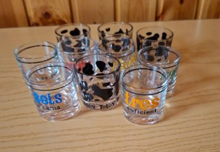 Set de 10 Vasos de Chupito
