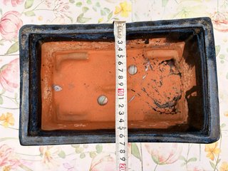 Maceta para Bonsái Azul