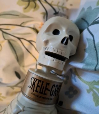 Harry Potter Skele-Gro