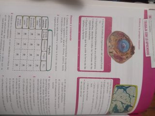 Anatomía aplicada, 1 Bachillerato