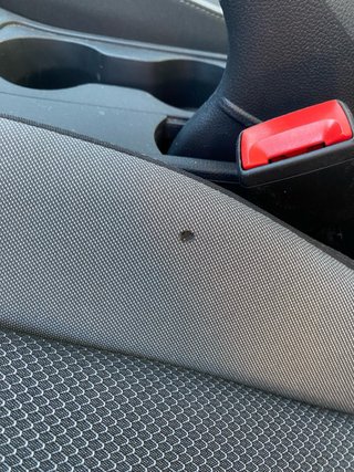 SEAT Ibiza 2021