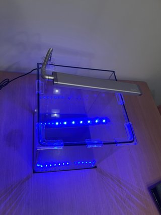 Nano Acuario Cubic 19L Blau