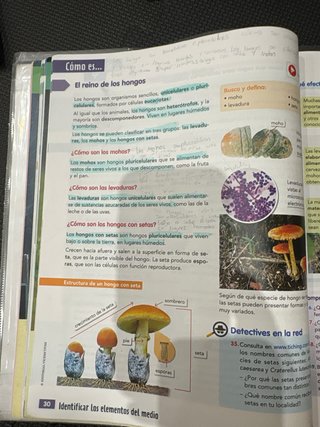 CIENCIAS DE LA NATURALEZA 5 (COMUNIDAD ZOOM)