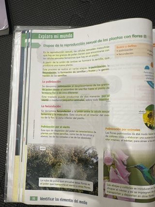 CIENCIAS DE LA NATURALEZA 5 (COMUNIDAD ZOOM)