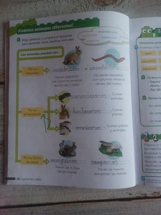 Ciencias de la naturaleza 2 ANAYA
