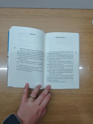 Nire baitako ahotsak mikroipuinak