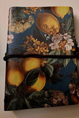 Cuadernos con tapas ilustradas