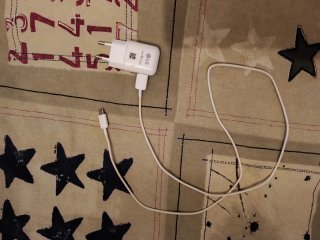 Cargador LG Fast Charger