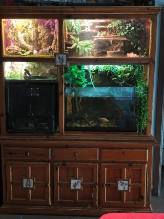 Mueble Terrario y Acuario