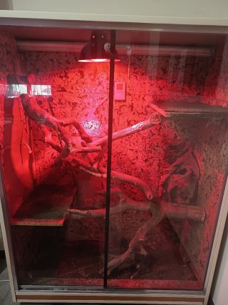 Armario terrario con ruedas