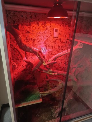 Armario terrario con ruedas