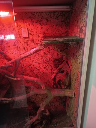 Armario terrario con ruedas