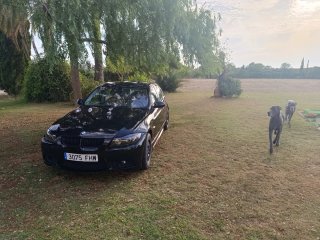 BMW Serie 3 2006