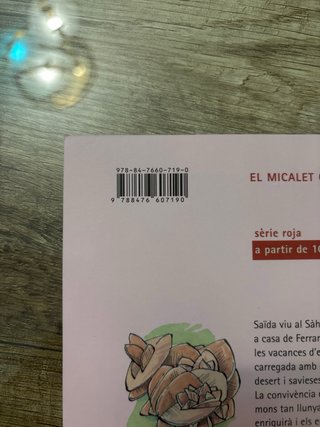 Les vacances de Saïda