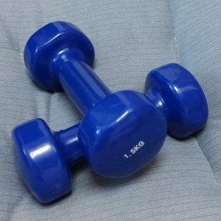 Set de 2 Mancuernas de 1.5kg