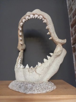 Decoración Acuario Mandíbula de Tiburón