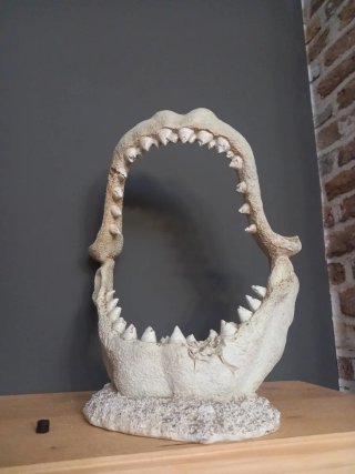 Decoración Acuario Mandíbula de Tiburón