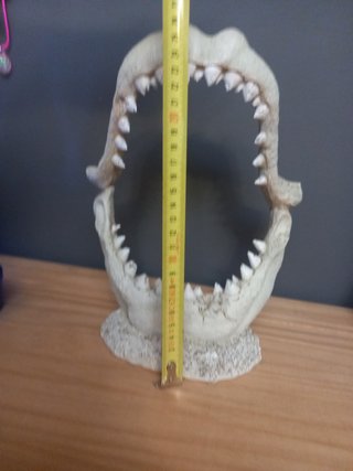 Decoración Acuario Mandíbula de Tiburón