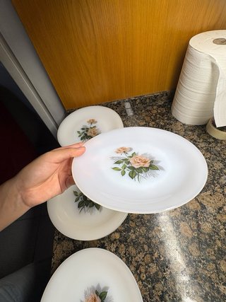 Set de 18 Platos de Cristal vintage