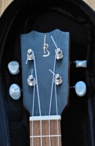 Banjo Ukelele APC BJPT100