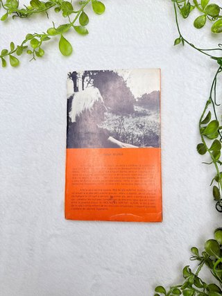 Res no és veritat, Alícia – Anna Murià, edición 19