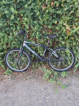 Bicicleta Topbike 24 pulgadas