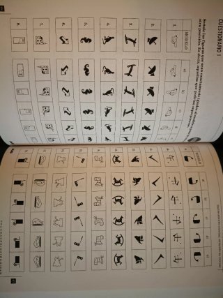 Libro Pruebas Psicotécnicas - Rocío Clavijo (MAD)