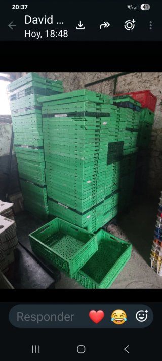 Cajas plástico verdes plegables. Portes comprador