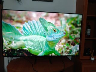 Televisión Samsung 55" TU55DU7105KXXC