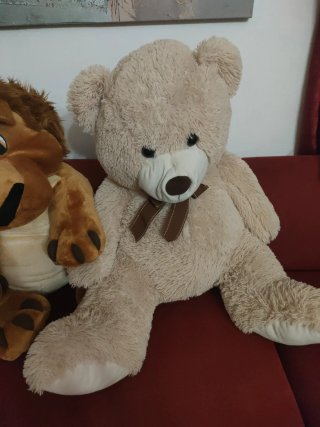 Peluche Leone e Orso Teddy Grandi