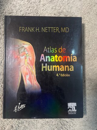 Netter, F.H., Atlas de Anatomía Humana, 4a ed. ...