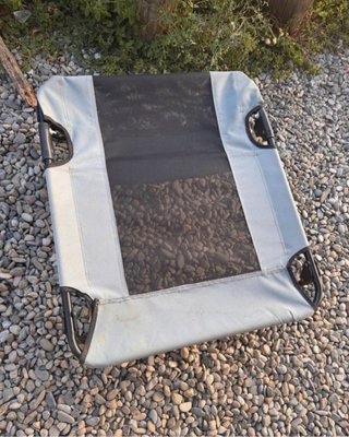 Cama elástica para perro