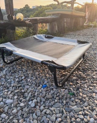 Cama elástica para perro