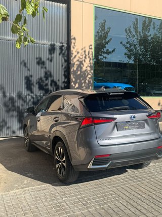 Lexus NX 2.5 300h Business Navigation 2WD