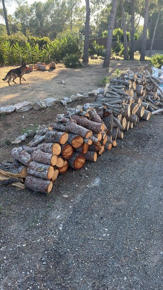 Leña para chimenea/estufa