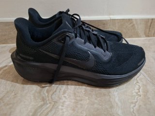 Nike Pegasus 41. Zapatillas. Talla 41.