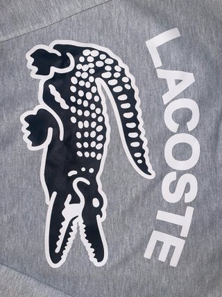 Sudadera Lacoste gris