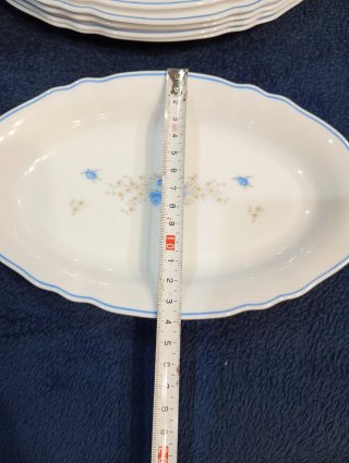Bandejas Arcopal Flor Azul 6€ unidad