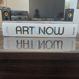 Libro art now volumen 2