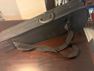 Violín con Funda Profesional